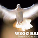 WSOG Catholic Radio - WSOG logo
