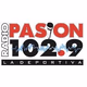 Pasion 102.9 logo