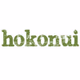 Hokonui Southland logo