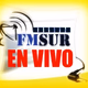 FM Sur Stereo 93.3 logo