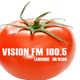 Visión FM logo
