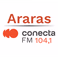 Rádio Conecta 104.1 FM logo
