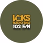 VOKS Radio Bali 102FM logo