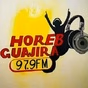 Horeb Guajira 97.9fm logo