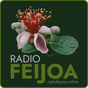 Radio Feijoa logo