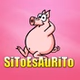 EsAuRiRaDio logo