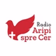 Radio Crestin Aripi Spre Cer - International logo