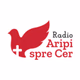 Radio Aripi Spre Cer - Popular logo