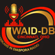 Africans in Diaspora Radio logo
