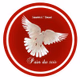 Radio Pain du soir - Musique2 logo