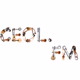 Ceol FM - Songs logo