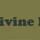 AA Divine Radio logo