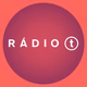 Rádio T Cascavel logo