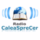 Radio Calea Spre Cer logo