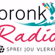 Pronk Radio logo
