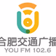 合肥交通广播 logo