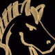 NightRideUSA logo