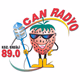 Can Radyo Ereğli logo