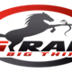 Big Radio logo