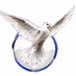 Parajsa Radio logo