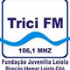 Rádio Trici 106.1 logo