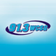 91.3 WCSG - WCFG logo
