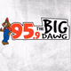 95.9 The Big Dawg - WICL logo