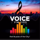 Voice FM 1105 logo