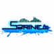 Sarine FM logo