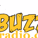 Buzz95 logo