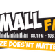 Small FM 88.1 FM logo