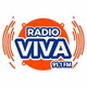 Radio VIVA 91.1 logo
