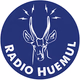 Radio Huemul logo