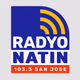 Radyo Natin San Jose Nueva Ecija - DWSY logo