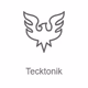Radio Record - Tecktonik logo