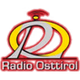 Radio Osttirol logo