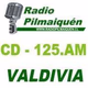 Radio Pilmaiquen - 98.9 FM logo
