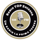Radio Top Suceava logo
