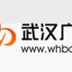 武汉青少广播 logo