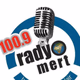 Radyo Mert logo