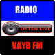 Radio VAYB FM logo
