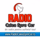 Radio Calea Spre Cer - pentru copii logo