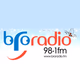 Bro Radio 98.1FM logo