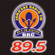 BRC FM Jama'are logo