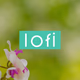 Litt Live - Lofi - Chill & Instrumental Hip-Hop Beats logo