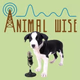 Animal Wise Radio logo