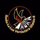 Radio La Luz Verdadera Misión 6 logo