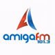 Amiga FM logo