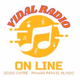 Vidal Radio logo