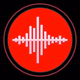 RadioFox logo